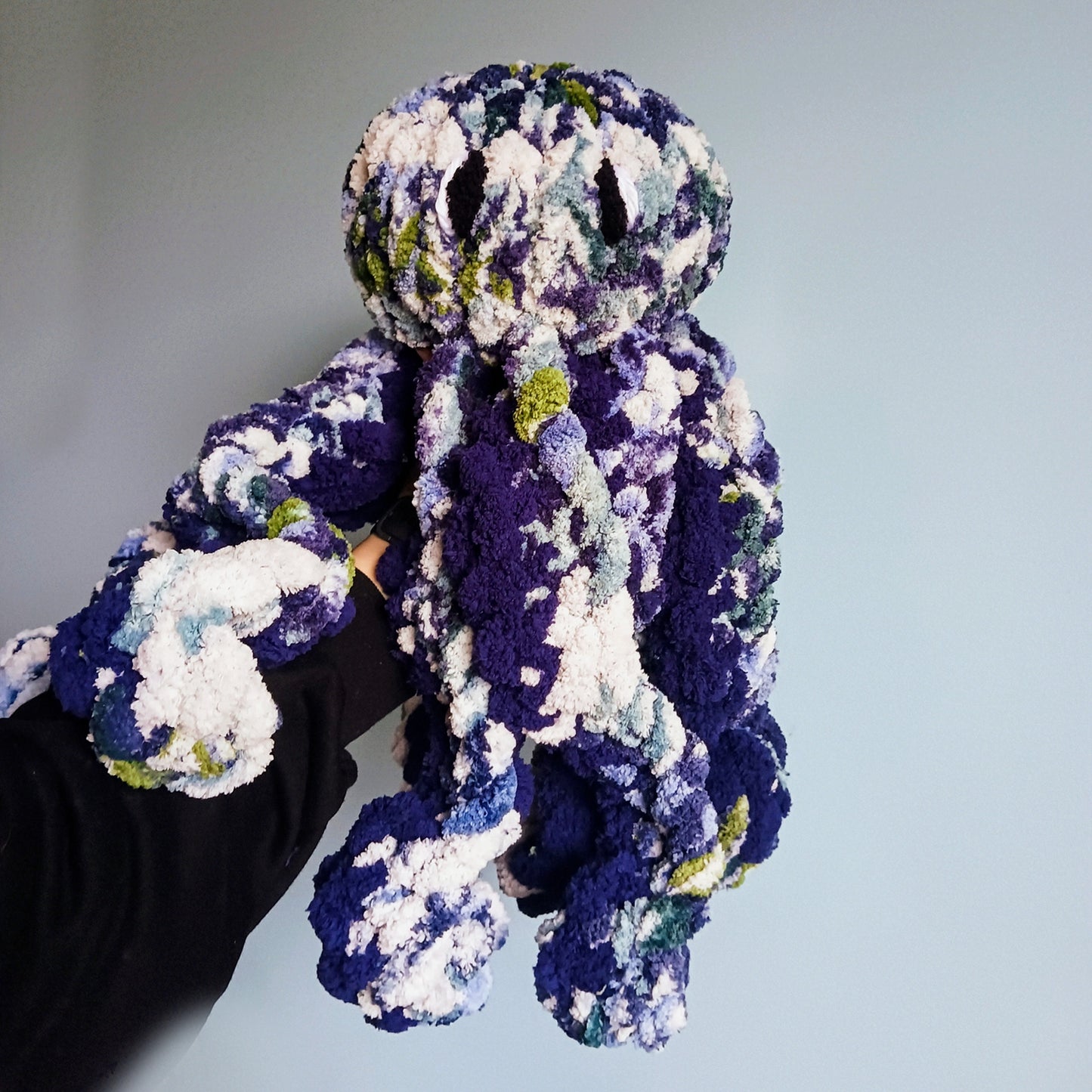 Octopi