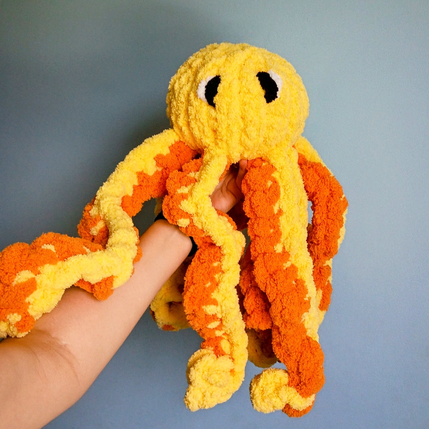 Octopi