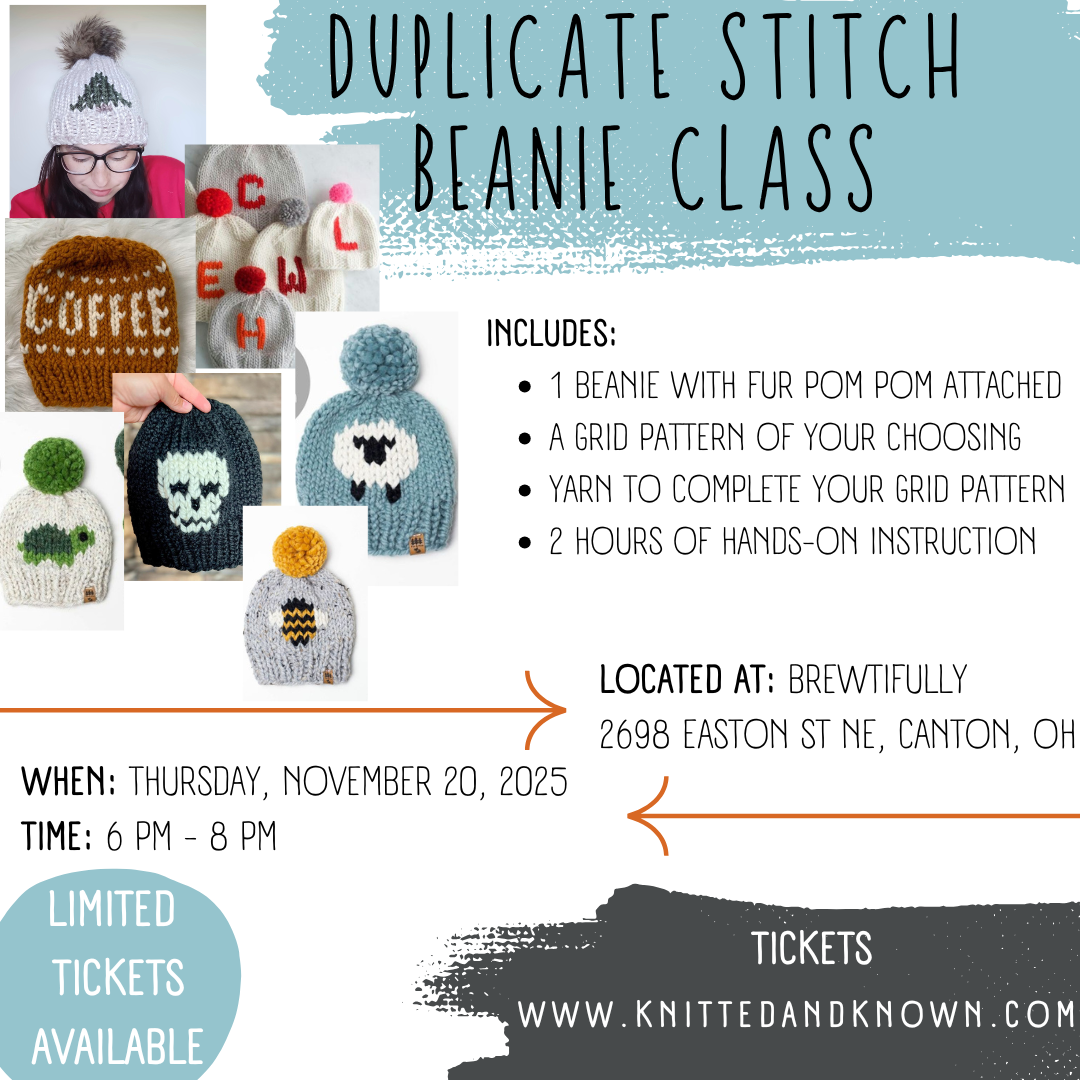 Duplicate Stitch Beanie Class