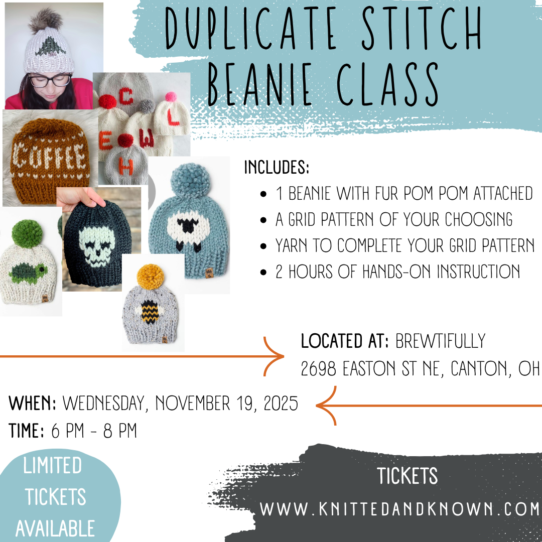 Duplicate Stitch Beanie Class