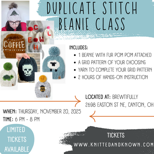Duplicate Stitch Beanie Class